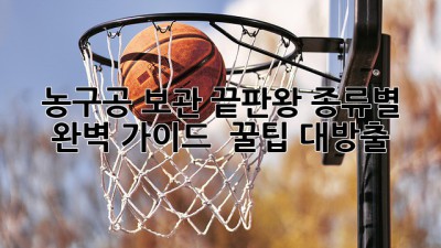 농구공🏀 보관 끝판왕🏆: 종류별 완벽 가이드 & 꿀팁 대방출!